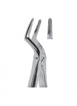 Extracting Forceps